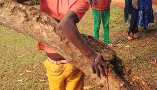 KENYA: 19-year-old man nailed to a tree for allegedly stealing radio