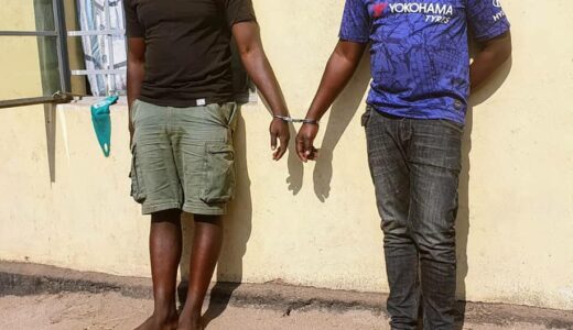 Stop Pangolin Trafficking- Kumchedwa