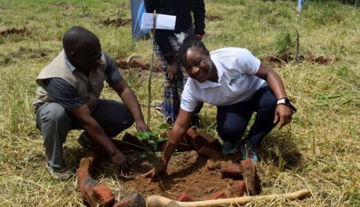 EthCo partners WESM, school in tree planting in KK