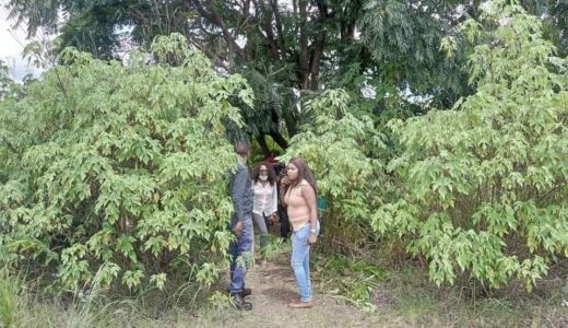 Zambian Man Commits Suicide By Hanging Over Unknown Reasons