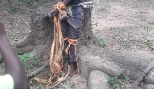 Malawian Man Tied To A Tree For Not Attending Funeral Ceremony, Opens His Grocery Instead