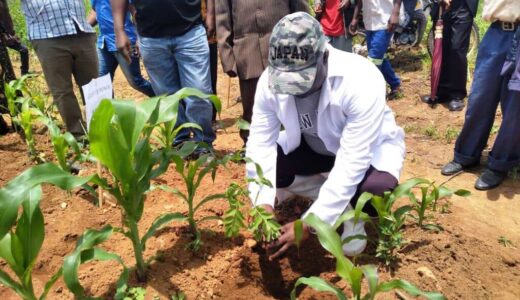 Jappie Mhango Taps CDF For Tree Planting