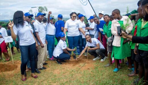 FDH Bank targets to care for 1 million trees