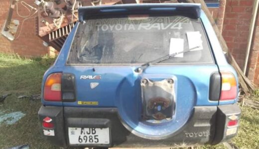 Man Escapes Death In Zambia; See Photos
