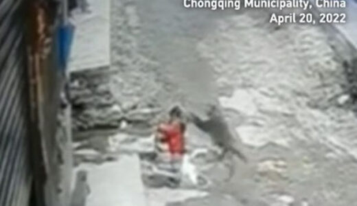 Monkey Tries To Kidnap Girl In Savage Attack In China