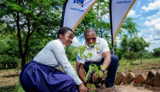 FDH enhances Chingale forest cover