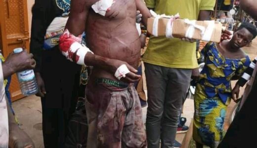 Man single-handedly kills Lion in brutal battle