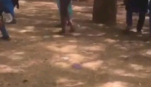 Collage Female Student Set Ablaze For Insulting Prophet Muhammad In Nigeria