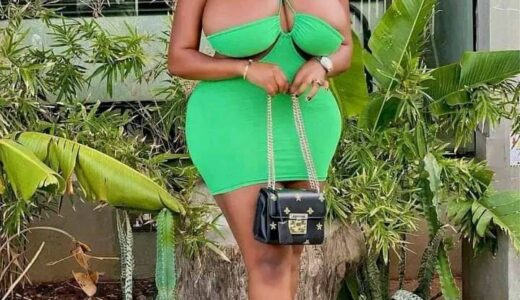 This World Is Really Going To An End, See What Slay Queen Wore At A Party That Nearly Showed Her Melons (Photos)