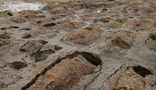 Coal mine shocks villagers as it expels the dead from their graves in Zambia