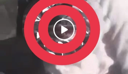 VIDEO|| SA Police officer used live Ammunition after running out of rubber bullets and shot a child during riot