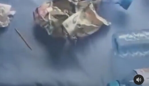 Watch|| Woman Caught Stealing Money Sprayed On The Celebrants At An Event