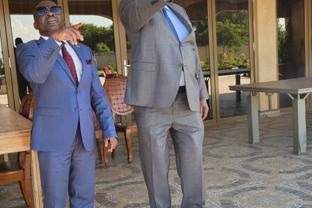 BINGU MAUSOLEUM POLITICS: Manganya visits Professor Arthur Peter Mutharika