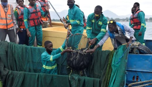 Fish farmers hail Maldeco support