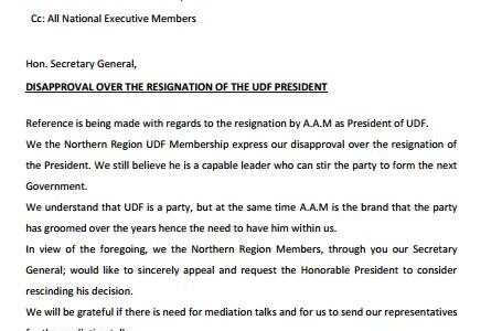 UDF youths in Mzuzu against Atupele’s resignation