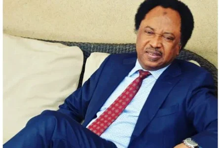 ‘Monkeypox Reported In US, Canada and Europe, Don’t Say It Originated From Africa’ – human rights activist  Sani