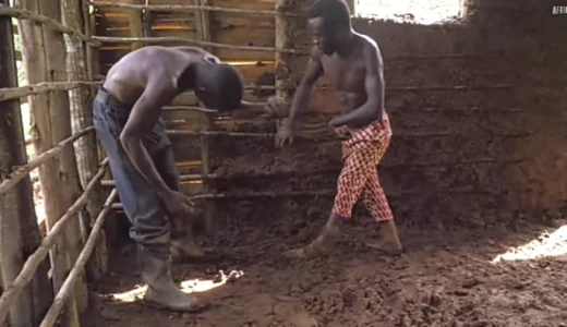 How 2 Disabled Brothers Spent 12 Years Building A House For Their Mother