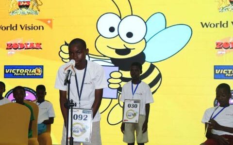 41 Learners Qualify For National Spelling Bee