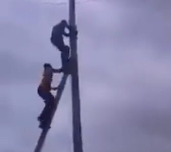 Watch drama as suspected thief hangs on high tension wire and refuses to come down
