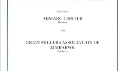 Admarc Management, MCP Tussle in Zim Maize Deal