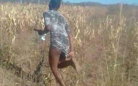 Malawian Couple Caught On Camera B0nking In The Bush, Woman Escapes (See Photos)