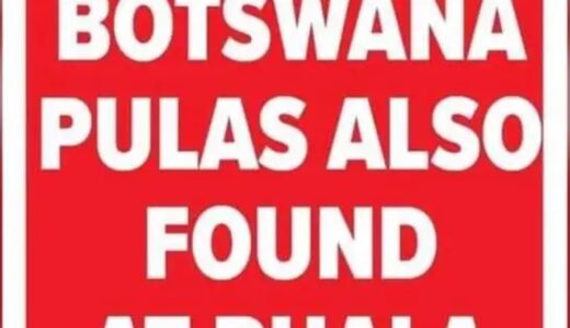 Not only Dollars are found from the Ramaphosa’s farm also this