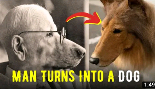 Japanese man spends £12,480 to fulfill his “dream of becoming a Dog”. Surgery? See why he did that (Video)