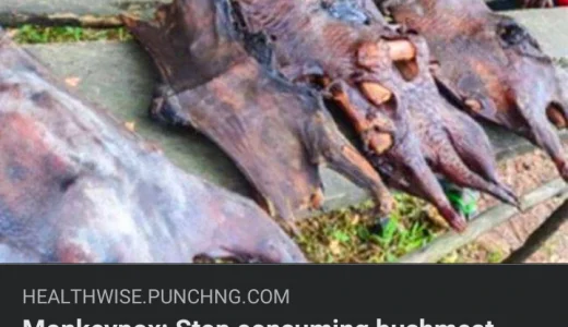 “Stop Eating Bushmeat To Prevent Monkeypox Outbreak” – Ministry Warns Nigerians