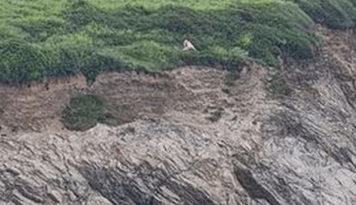 PHOTOS|| Nude Couple Captured Having Steamy Public S3x On Busy Seaside Cliff As Shocked Diners Watch On