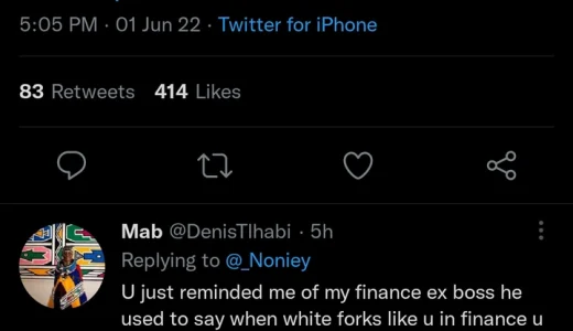 “Black President Who is Loved by White People is Not For Black People” — Woman To Ramaphosa