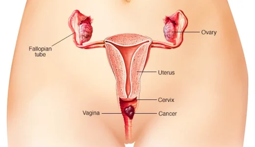 Things that will happen to you when you have s3x on period