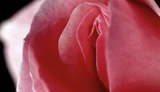 5 things women need to know about experiencing orgasms