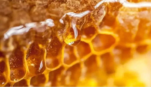 4 Types of Foods Which Increases Libido If low