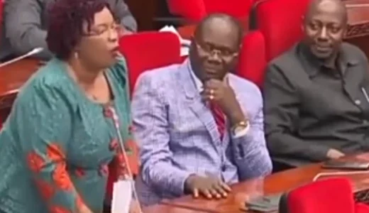 Kenyans React As Tanzanian Mp Cries Out Saying Most Tanzanian Men Are Consuming Baby’s Breast Milk