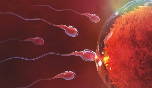 2 Ways To Make Your Sperm More Fertile