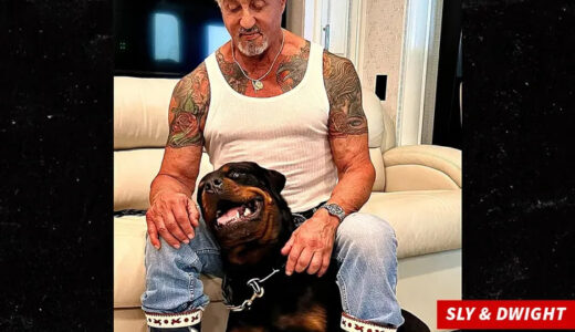 Sylvester Stallone and Jennifer Flavin’s divorce was triggered by new dog