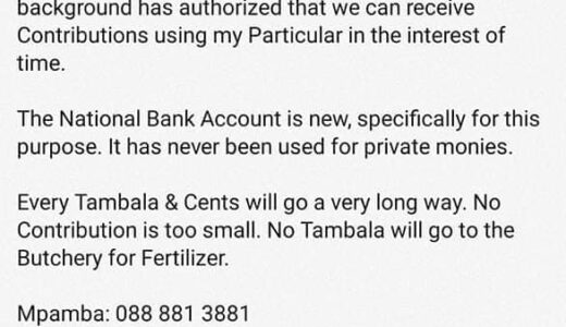 Joshua Chisa Mbele blasted for asking money for his anti-Chakwera demos (screenshots)