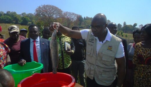 Aquaculture, a sleeping giant says Mkaka