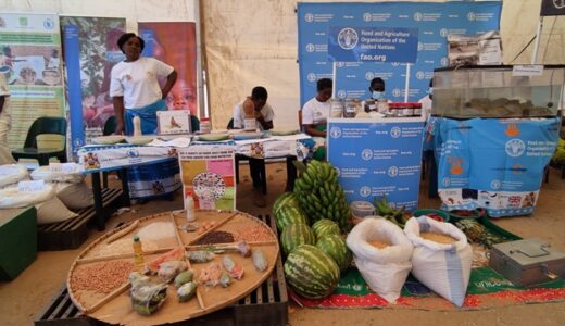 Mindset change in Agriculture key in increased productivity
