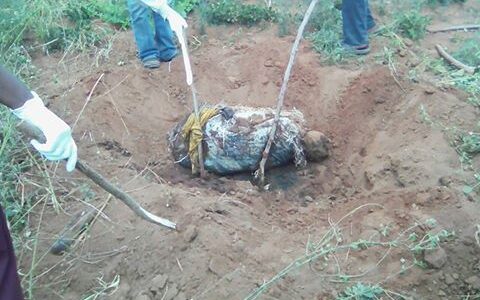 Albino grave tampered with in Lilongwe