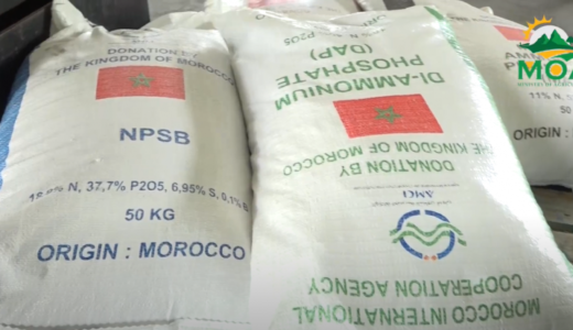 Why should we be spending so much money on donated fertiliser?Uzimwale, kuba kapena kupusa?