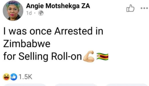 Zimbabweans Flood SA Minister’s ‘Facebook Page’ With Insults After Claiming ‘She’ Was Once Arrested For Selling Roll-On In Zimbabwe
