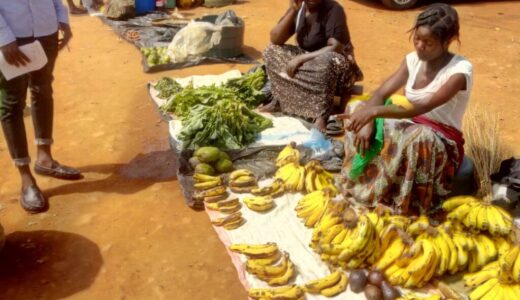 Council urges illegal vendors to relocate to designated places
