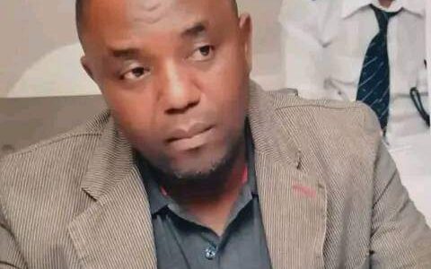 Please help; we need sniffer dogs- MP appeals