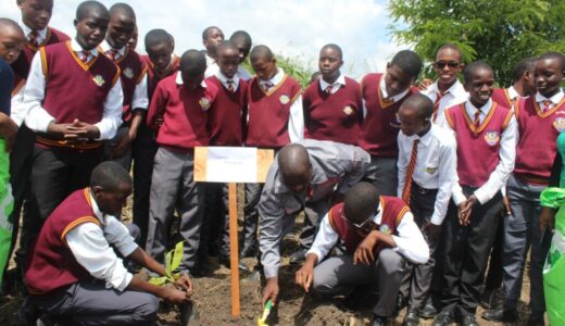 Ministry moves to promote banana farming in schools
