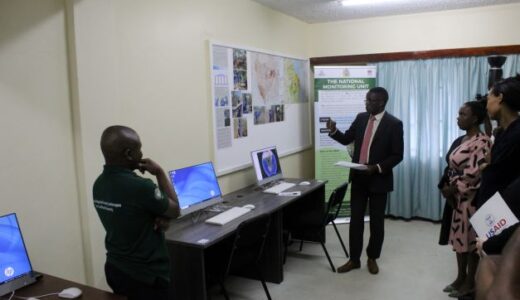 Illegal charcoal production fueling deforestation, degradation