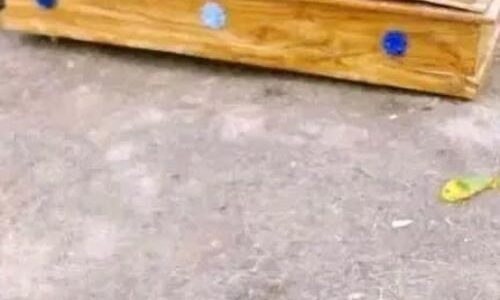 Family Rejects Casket Brought By Son-in-law For Mother-in-law’s Burial, Says Not Beautiful