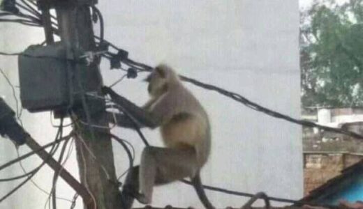 What has happened at ESCOM is an embarrassment to the nation and should not be tolerated