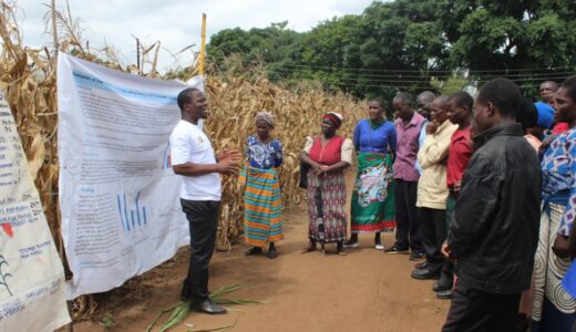 Govt moves to promote agriculture commercialization