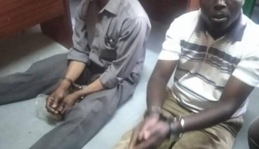 Two Men Arrested in Limbe for Illegal Possession of Live Pangolin